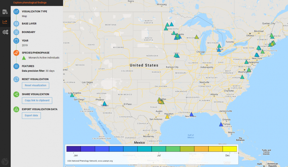 Phenology maps visualization