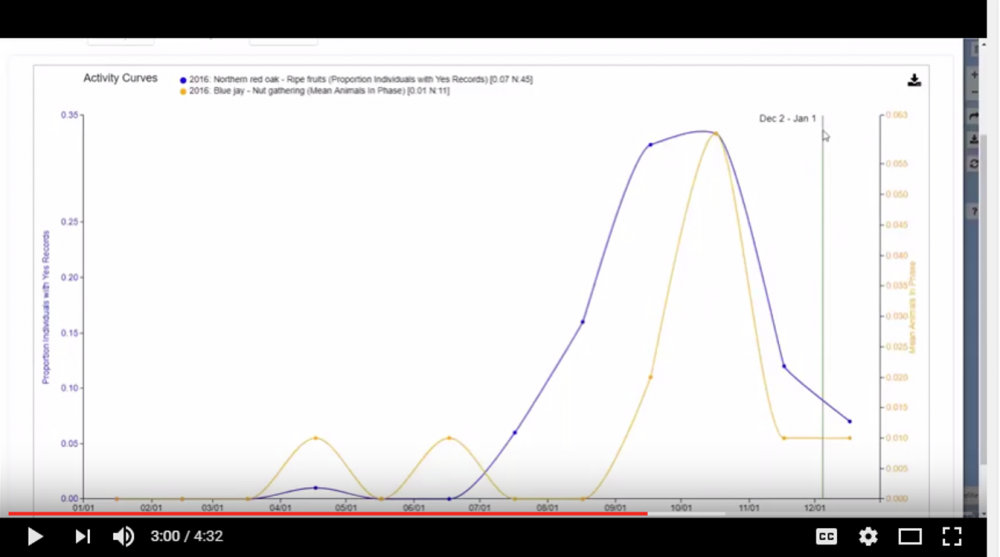 Viz Tool Activity Curves