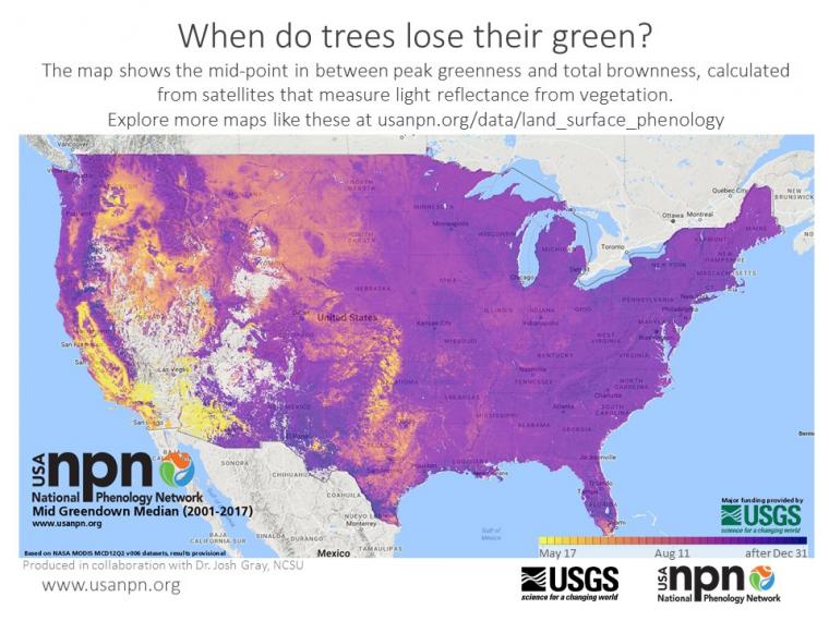 Seasonal story on land surface phenology of fall senescence