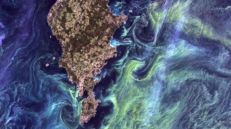 Phytoplankton bloom captured from space