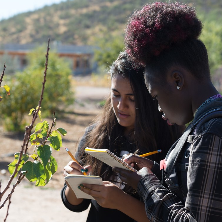 two young women taking notes on a plant 