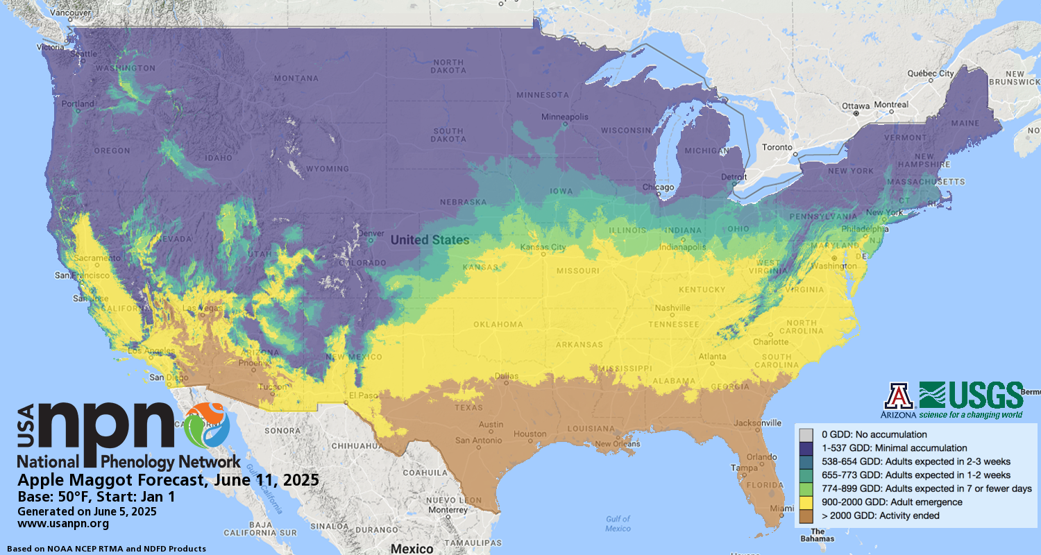 Apple Maggot Six Day Forecast