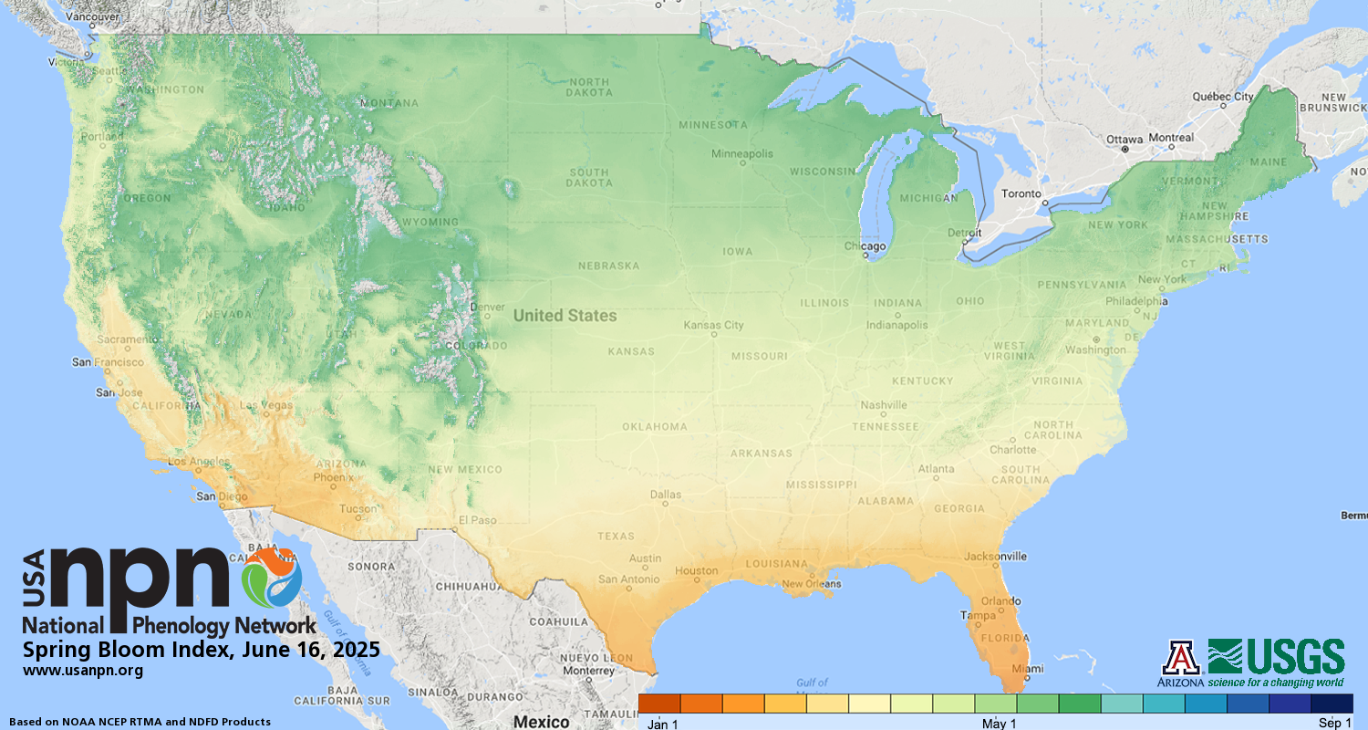 Spring First Bloom Index