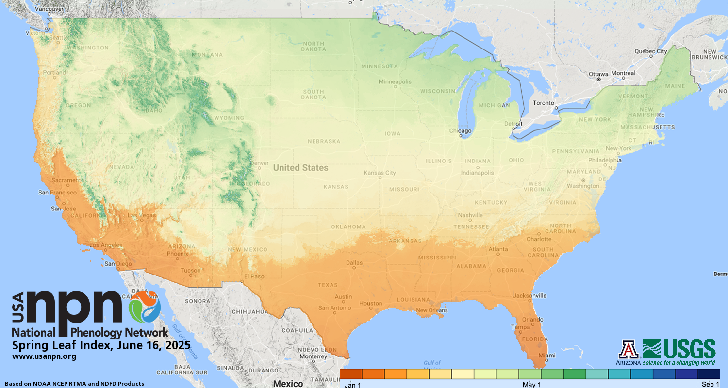 Spring First Leaf Index